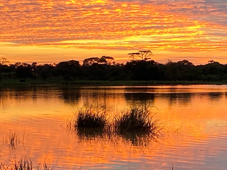 6ED8108E-0E54-4CD6-AD3C-33A78E15E198