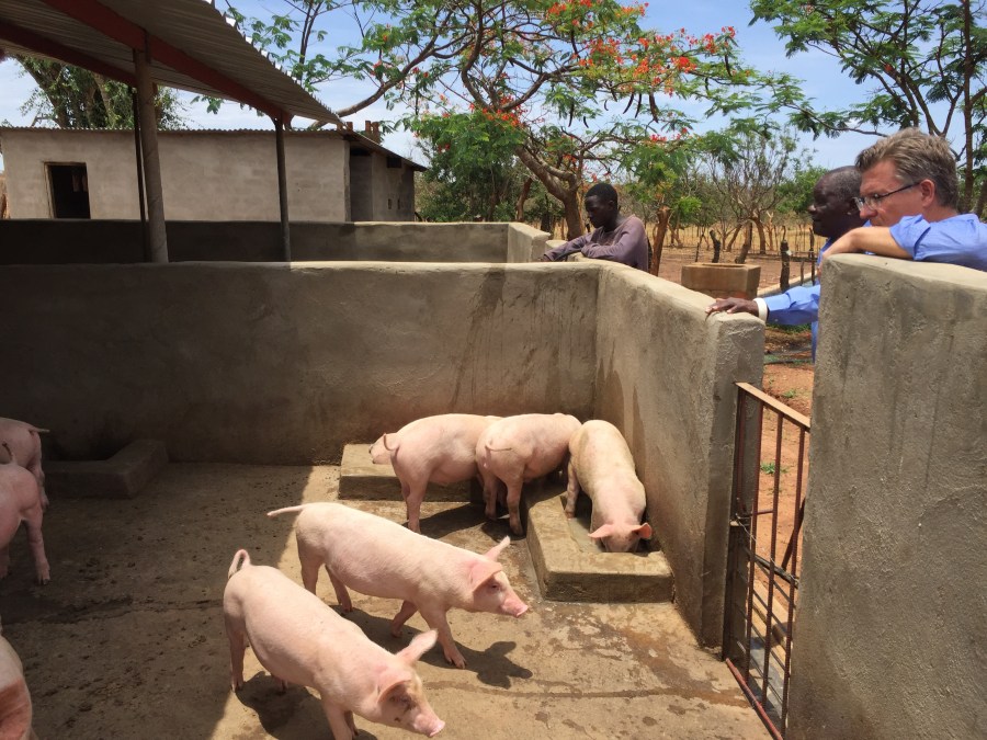 7629D3B5-22B2-4900-BCCD-9ED324EA9F72