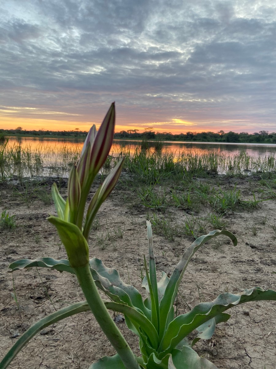 87DE710F-C755-4010-80BA-702CABB91433