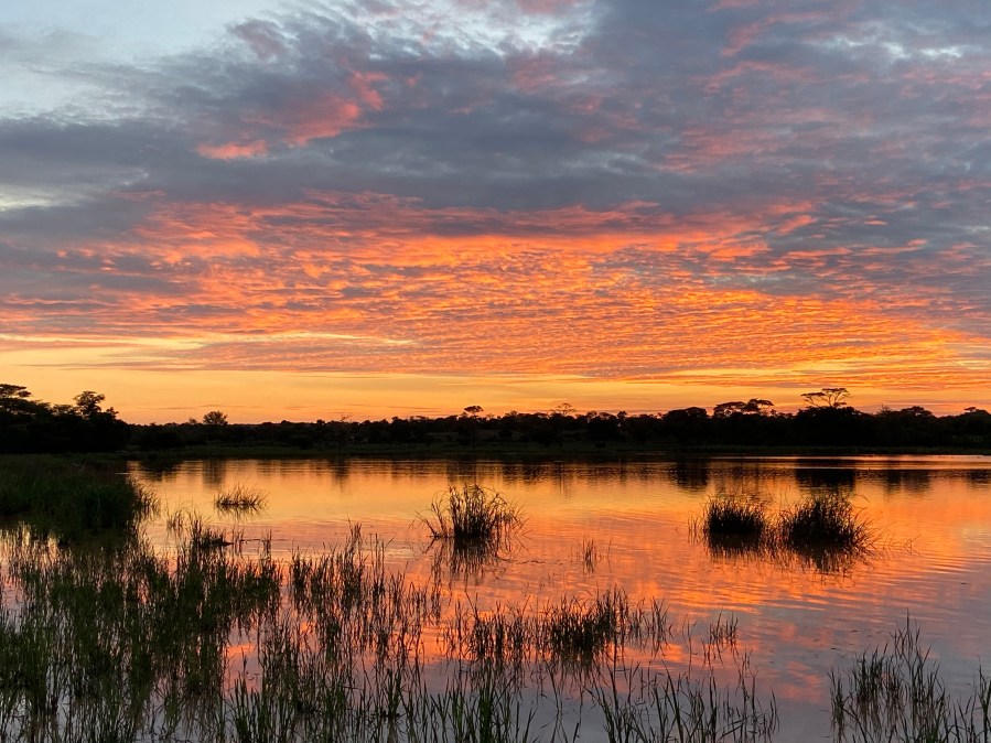 FBFCCC6E-2BCD-43AD-95B7-750699CF0EB4