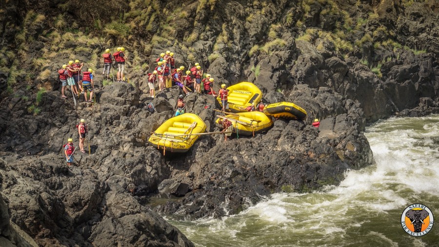 325E695C-F6F9-4E2F-8F9D-C4E1160458F8