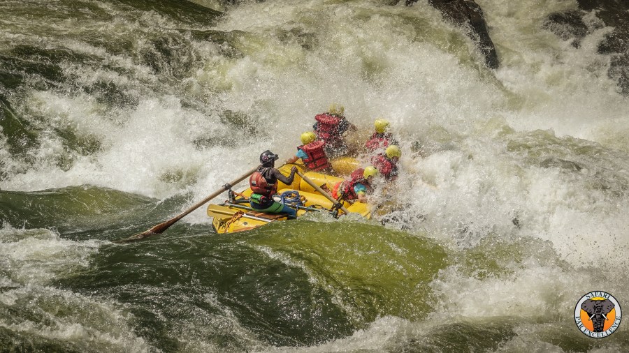 97541419-4B69-4D39-A489-292AD5C38883