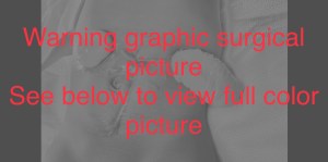 647A9BAE-98FB-48BE-8287-594BA06F0F80