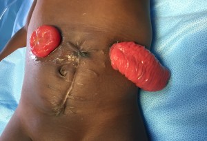 7303269F-E404-4925-AD01-3DED93971981