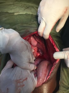 9CFCA07E-52B3-43C3-9874-20B1D3E65192