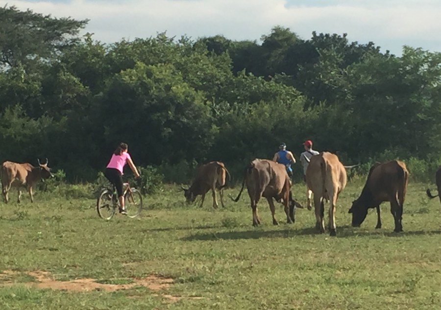 3818E61C-6E4E-4F14-AABE-50B27166641E