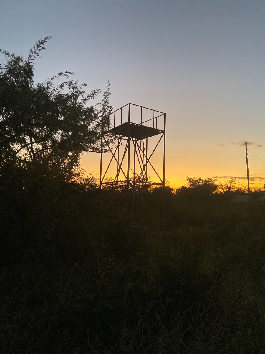 1CFBF29D-CE9B-4AFC-B3EF-CC51EE271945