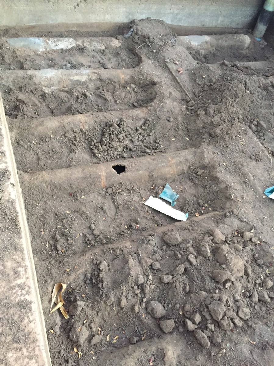 71ED58CA-6F53-431F-941A-D784B6C163E7