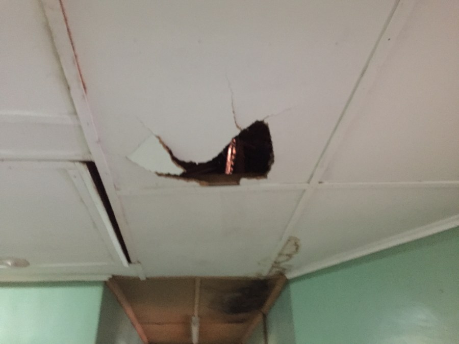 7CCB5DCC-06EF-4D9B-9FFF-A88F445FD10C